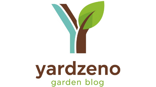 Yardzeno