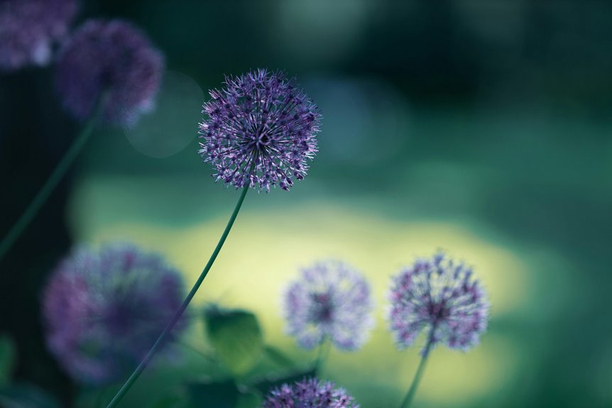 quick guide to identifying flowers